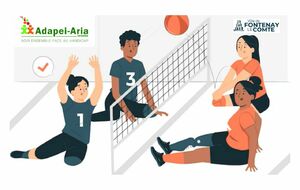 Volley Assis IME