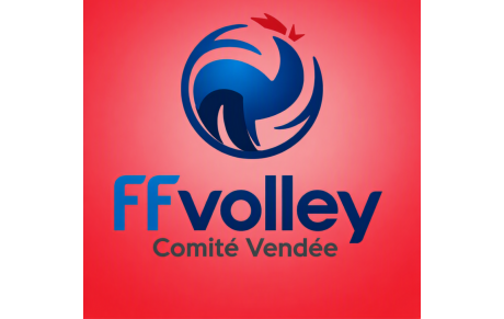 M31 - M13 MIXTE HONNEUR - POULE A